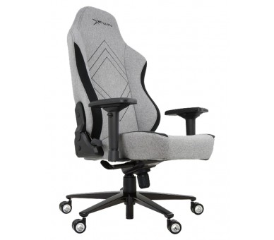 EWin Champion Series Ergonomic Computer Gaming Office Chair with Pillows - CPG