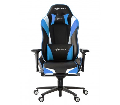 EWin Champion Series Ergonomic Computer Gaming Office Chair with Pillows - CPD