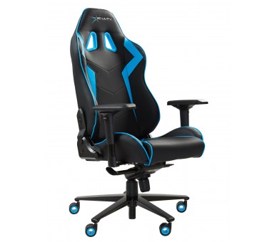 EWin Champion Series Ergonomic Computer Gaming Office Chair with Pillows - CPA