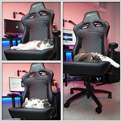 EwinRacing Gaming Chairs